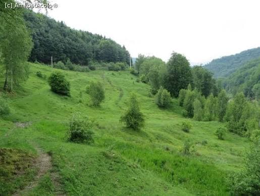 Peisaj verde Vălenii de Munte